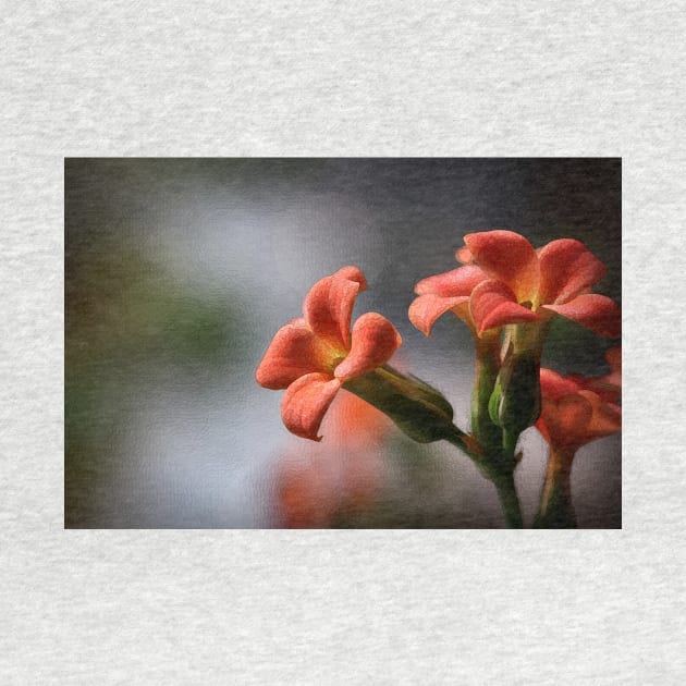 Trumpet Flowers - Floral - Botanical by JimDeFazioPhotography